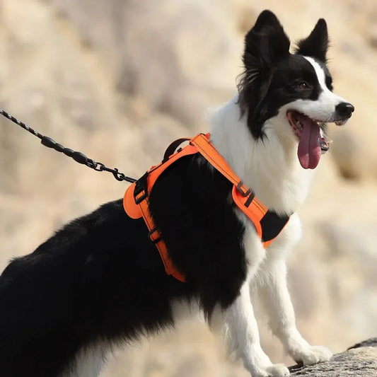 Dog Tactical Chest Harness