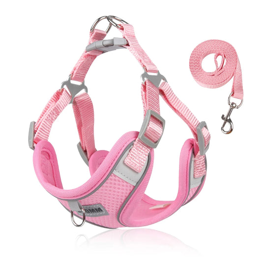 Dog Harness for Small Dogs Cats