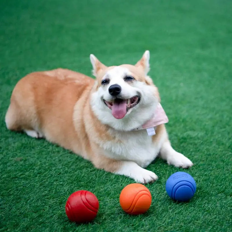 1PC Pet Dog Ball Bouncy Rubber Solid Ball