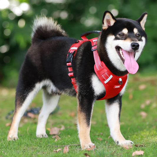 Reflective Dog Chest Strap