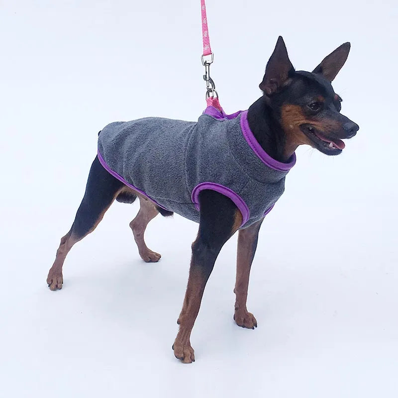 Winter Autumn Dog Clothes Soft