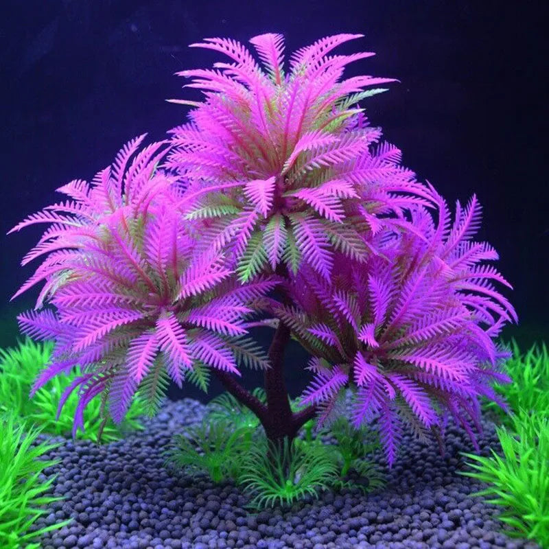 Aquarium Decorative Simulation